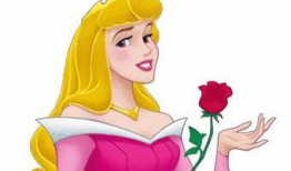 公主动漫,公主动漫中的热血传奇